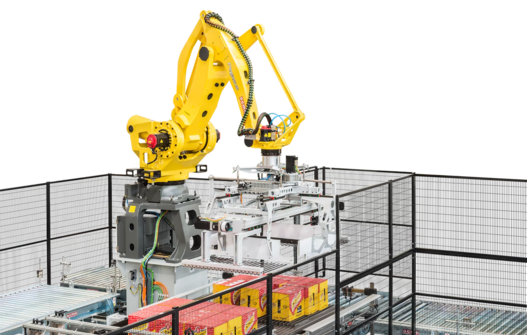 Case Packing vs. Carton Packing: Understanding the Key Differences  