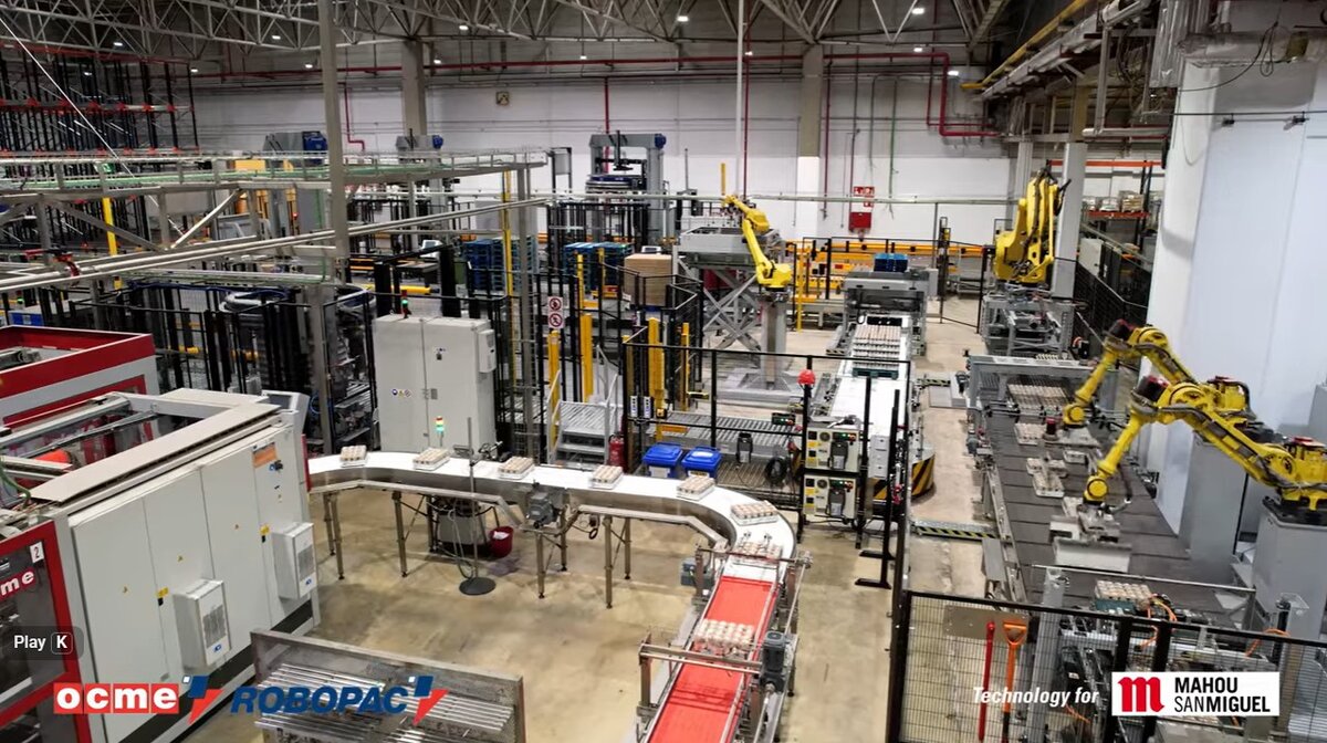 Palletizing Blog & Resources | OCME USA
