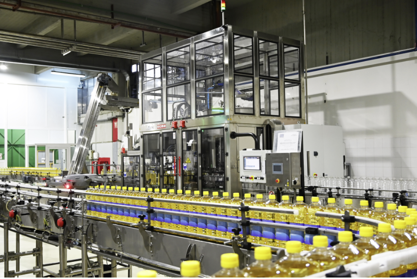 Rows of clear plastic containers filled with golden liquid move on stainless-steel conveyors through a production line.